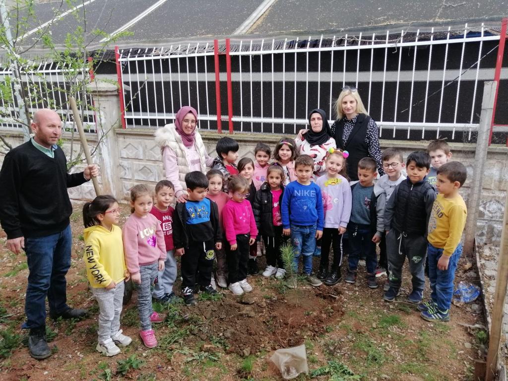 Orman Haftas Am Fidan Diktik Z M Ren Ak Zambaklar Anaokulu